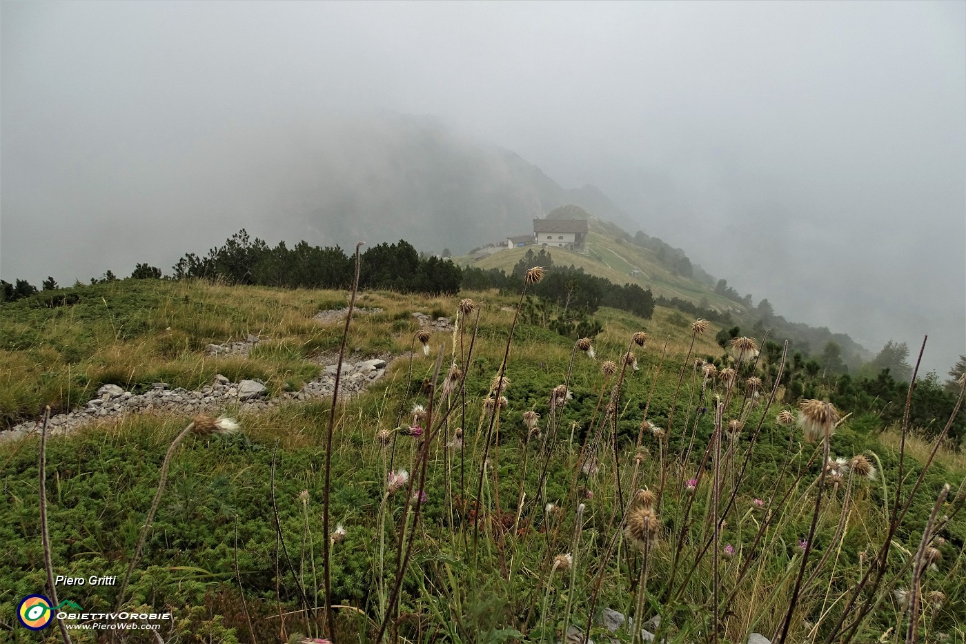 30 In decisa salita in compagnia della nebbia.JPG